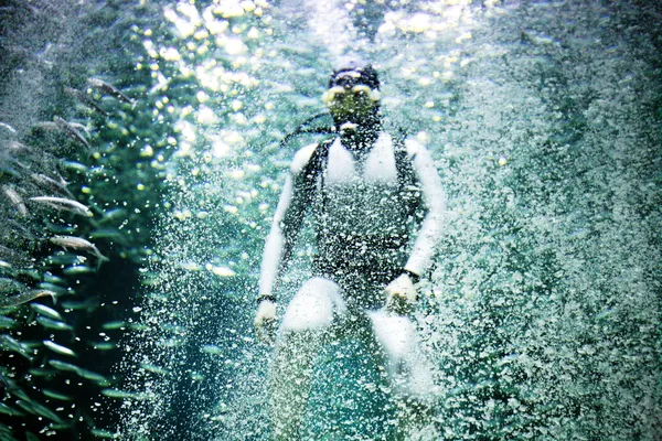 Mergulhador no aquário com peixes — Fotografia de Stock
