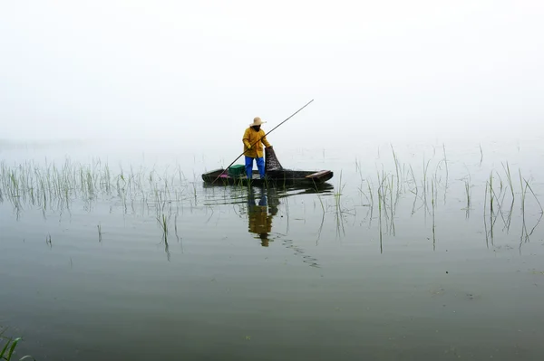Pescador en un pantano — Foto de Stock