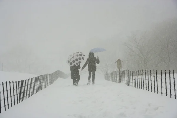 Touristen auf der Schafranch über die wunderschöne Winterlandschaft — Stockfoto