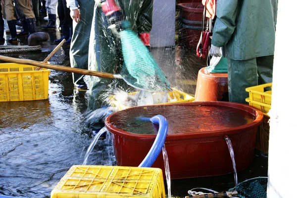 Fishermen at Seaport — Stock Photo, Image