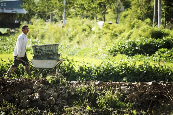 Man met pushcart — Stockfoto