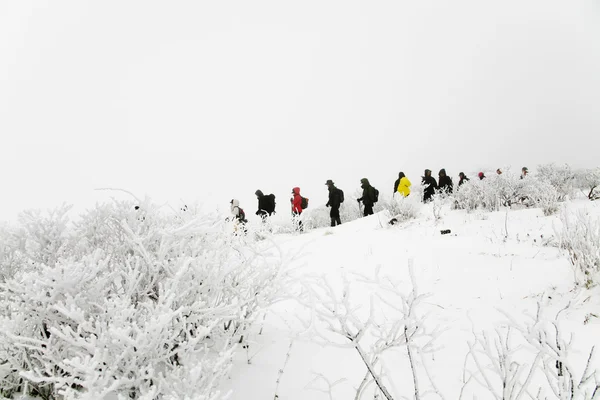 Mensen lopen in mooie winter bergen — Stok fotoğraf