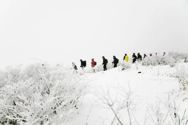 People walk in beautiful winter mountains — Stock Photo, Image