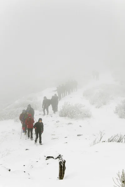 People walk in beautiful winter mountains — Stock Photo, Image