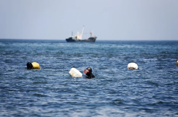 Buzos femeninos en la isla de Jeju — Foto de Stock