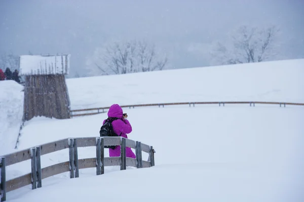 ภูเขา Daegwallyeong ในฤดูหนาว — ภาพถ่ายสต็อก