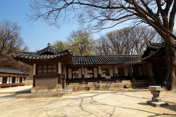 Palácio na Coreia do Sul, Changdeokgung — Fotografia de Stock