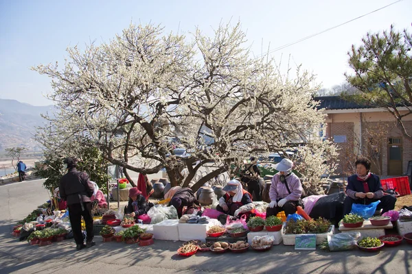 ตลาดถนนในเกาหลีใต้ — ภาพถ่ายสต็อก