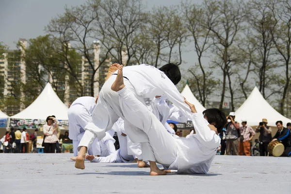 Traditional martial arts in South Korea, Taekkyeon — Stock Photo, Image
