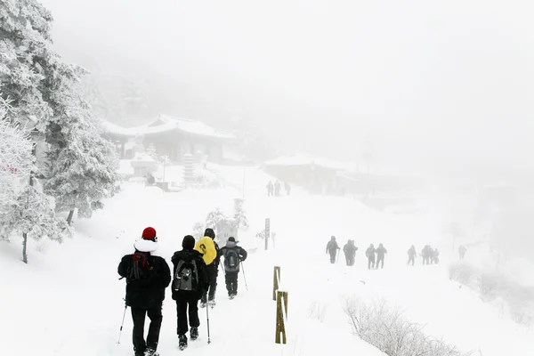 Ludzie chodzą w górach malownicze zimowe — Zdjęcie stockowe