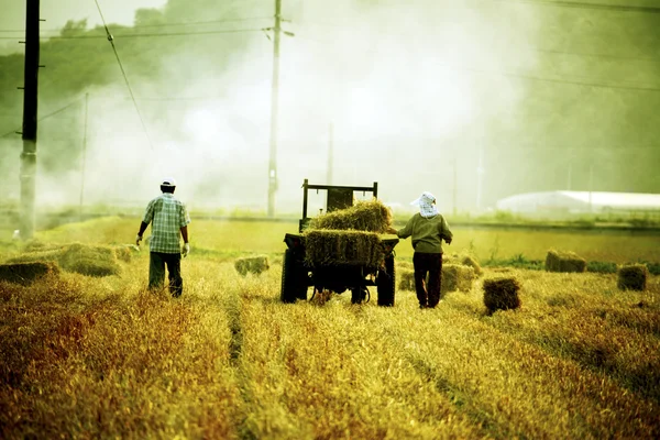 Agricoltore nel paesaggio rurale Corea — Foto Stock