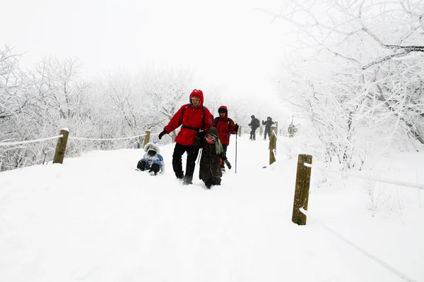 人们走在美丽的冬天山 — 图库照片