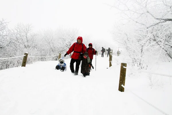 Mensen lopen in mooie winter bergen — Stok fotoğraf