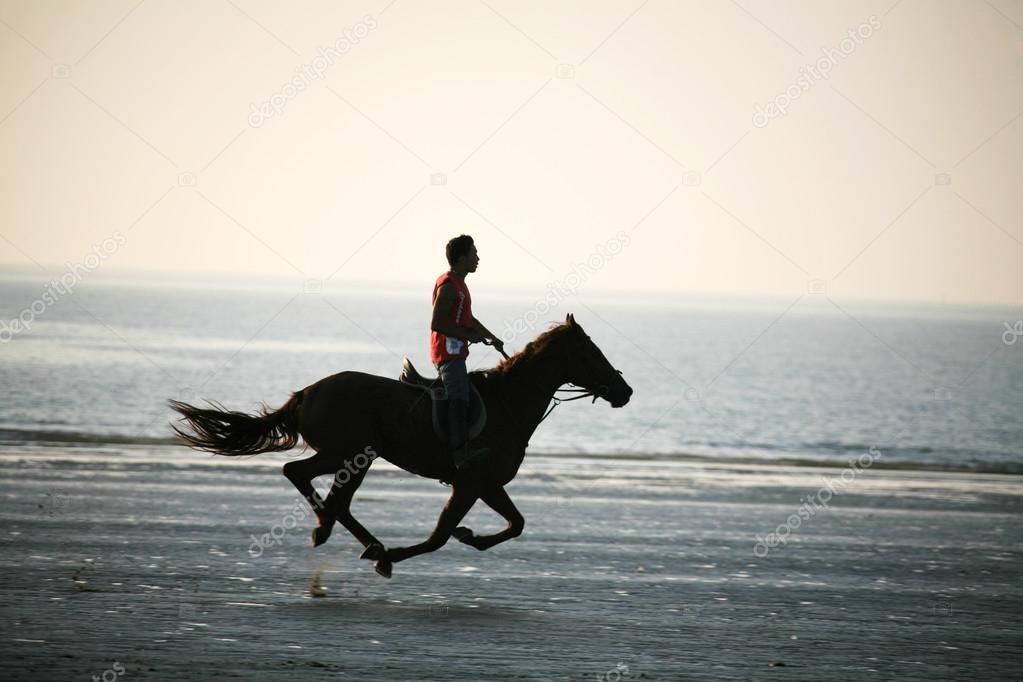 The horse rider on the beach during sunset