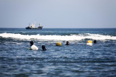 jeju Adası'nda kadın dalgıçlar