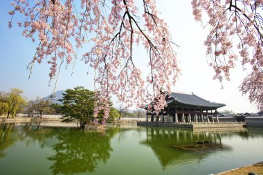Gyeongbokgung Sarayı