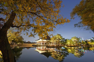 gyeongbokgung Sarayı Güney Kore gece manzarası