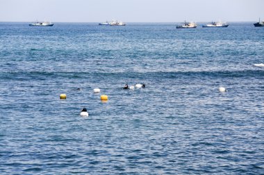 jeju Adası'nda kadın dalgıçlar