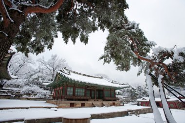 Güney Kore, changgyeong Sarayı