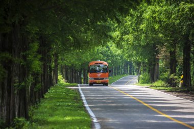 forest road jinan moraejae ile sürme otobüs
