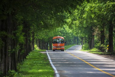 Bus riding through the forest road Jinan MoRaejae clipart