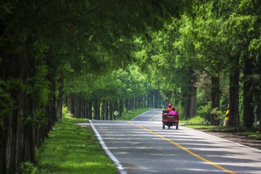 insanlar namı Adası orman yolu sürme