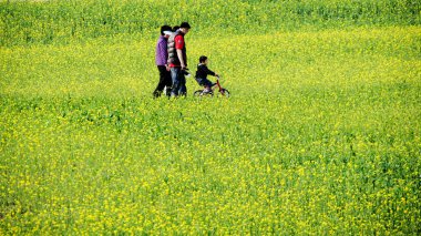 Güney Kore, banwolseong daereungwon, gyeongju manzara güzel bahar