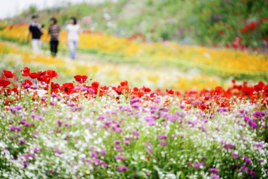 güzel manzara paju Tema Parkı içinde insanlar yürümek