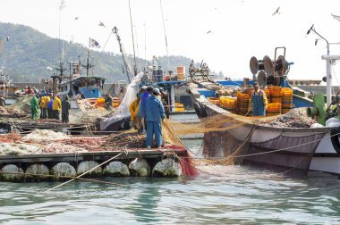 Balıkçılar hamsi catch kaldırma