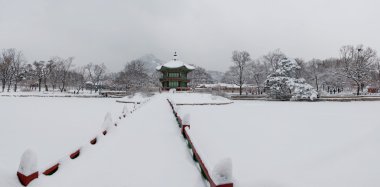 Kışın Gyeongbokgung Sarayı
