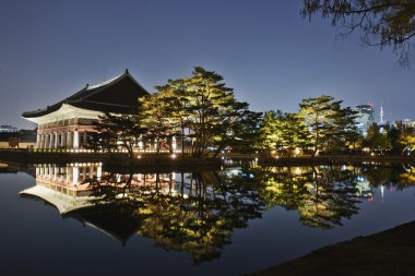 gyeongbokgung Sarayı Güney Kore gece manzarası