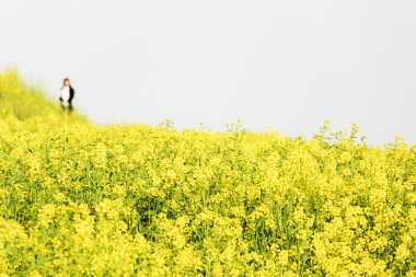 tecavüz çıtır kız