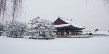Kışın Gyeongbokgung Sarayı