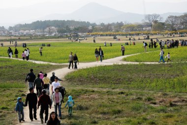 Güney Kore, banwolseong daereungwon, gyeongju manzara güzel bahar