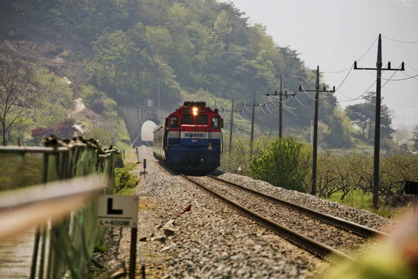 Railroad — Stock Photo, Image