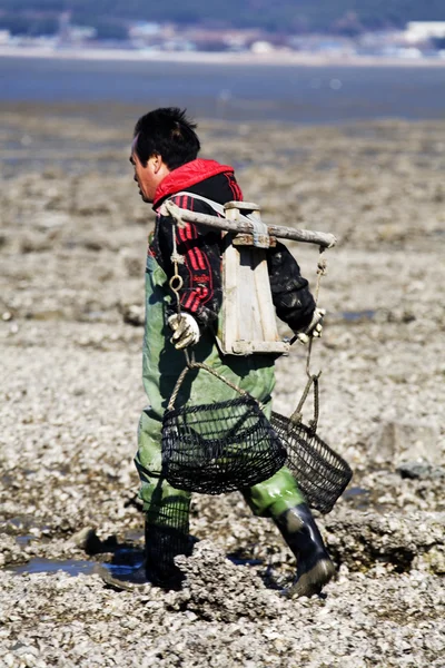 Fisher cherche à attraper l'huître marémotrice — Photo