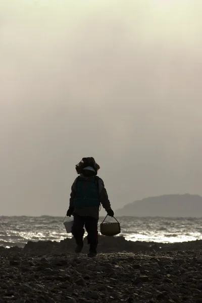 Prachtige landschap in Zuid-korea, kkotji strand visser — Stockfoto