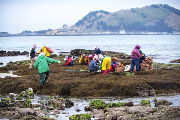 Villaggio di pescatori — Foto Stock