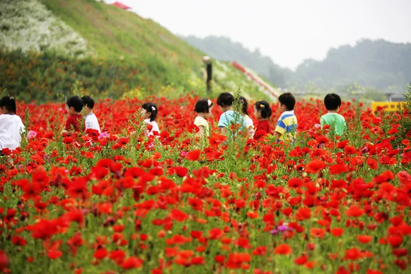 Enfants au parc d'attractions jardin Paju — Photo