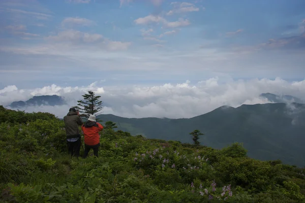 Mensen op zoek naar de zee van wolken op hambaeksan bergen — Stockfoto