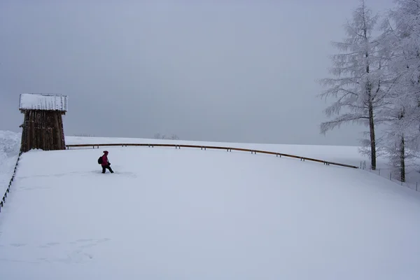 Daegwallyeong montagne in inverno — Foto Stock