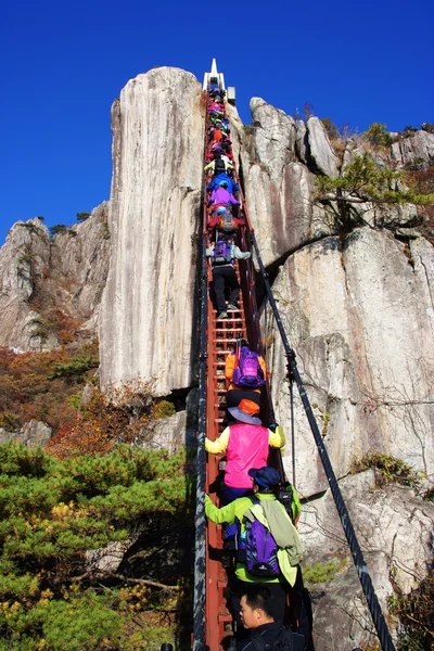 Daedunsan eyalet parkı — Stok fotoğraf