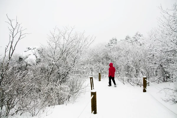 人々 美しい冬の山の中を歩く — ストック写真