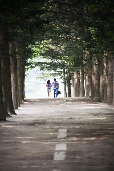 在森林道路上行走的夫妇 — 图库照片