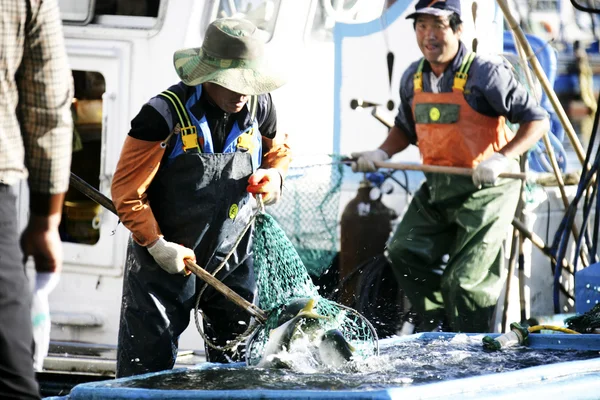 Fishermen at Seaport — Stock Photo, Image