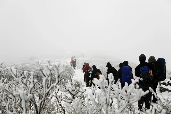 Lidé chodí v krásných zimních horách — Stock fotografie