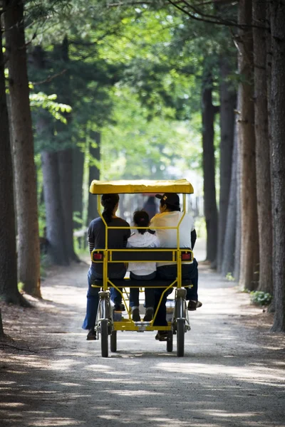 People on bikes Nami  Island Forest Road — Stock Photo, Image