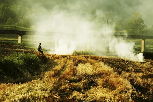 Agricultor en el paisaje rural Corea — Foto de Stock