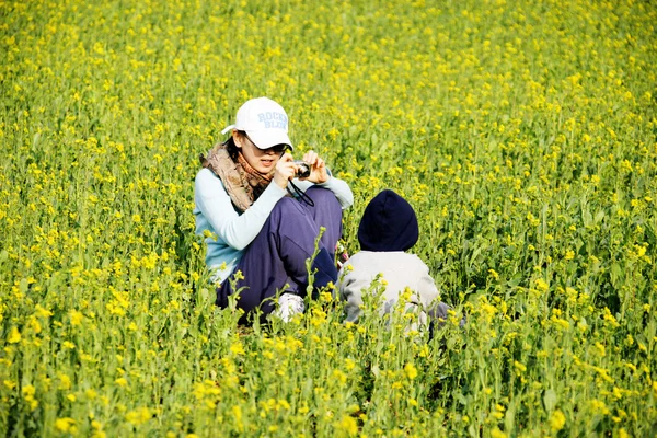 Bela paisagem de primavera na Coréia do Sul, daereungwon, Gyeongju, banwolseong — Fotografia de Stock