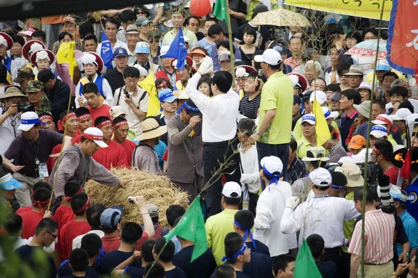 Traditionelles Festival in Südkorea — Stockfoto